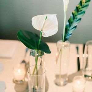 Meet your Posher, Nellie